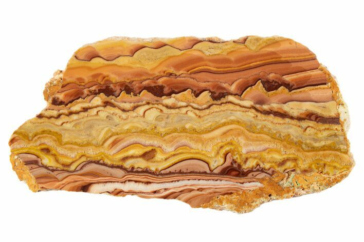 Polished Slab Of Rolling Hills Dolomite - Mexico #324426